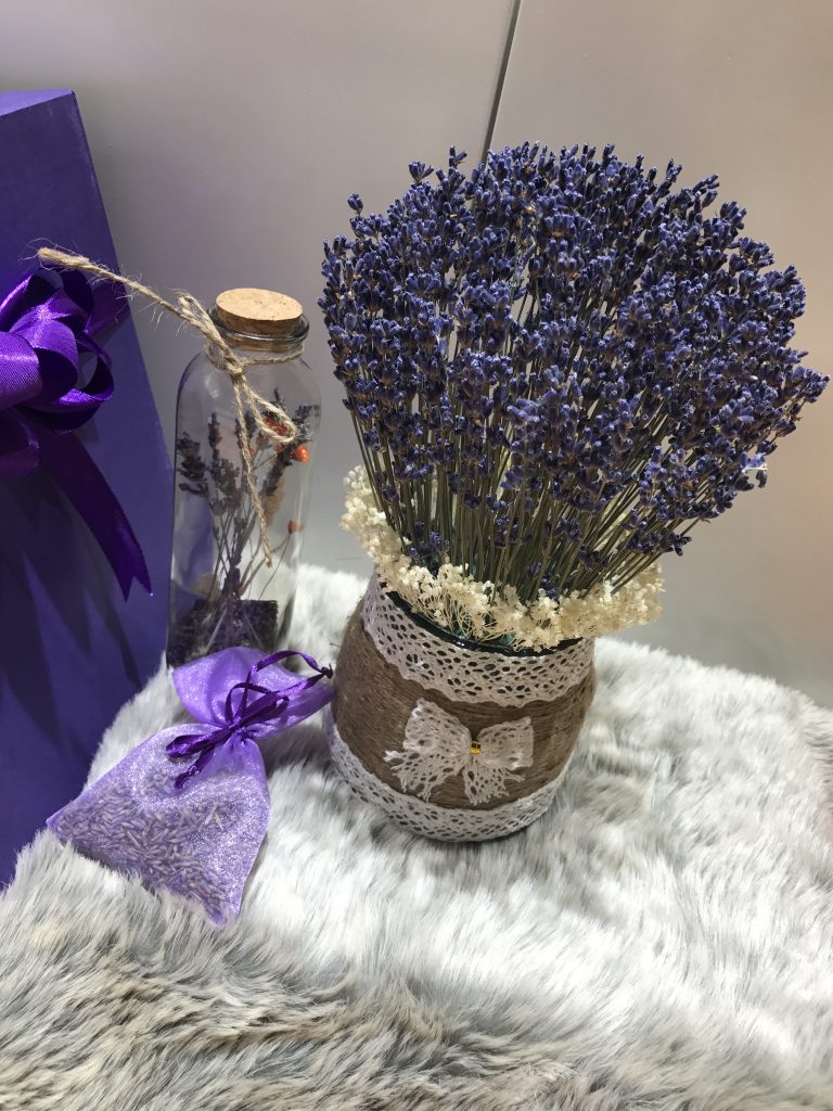 hoa lavender khô Pháp