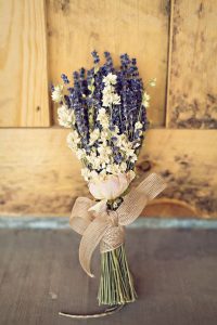 hoa kho lavender
