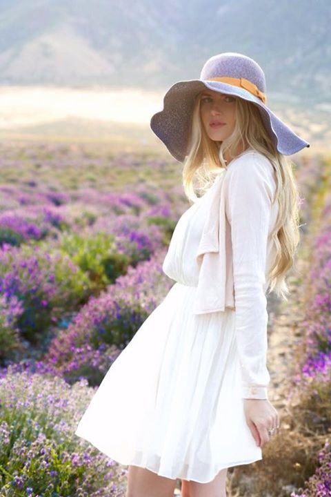 Thế giới lavender