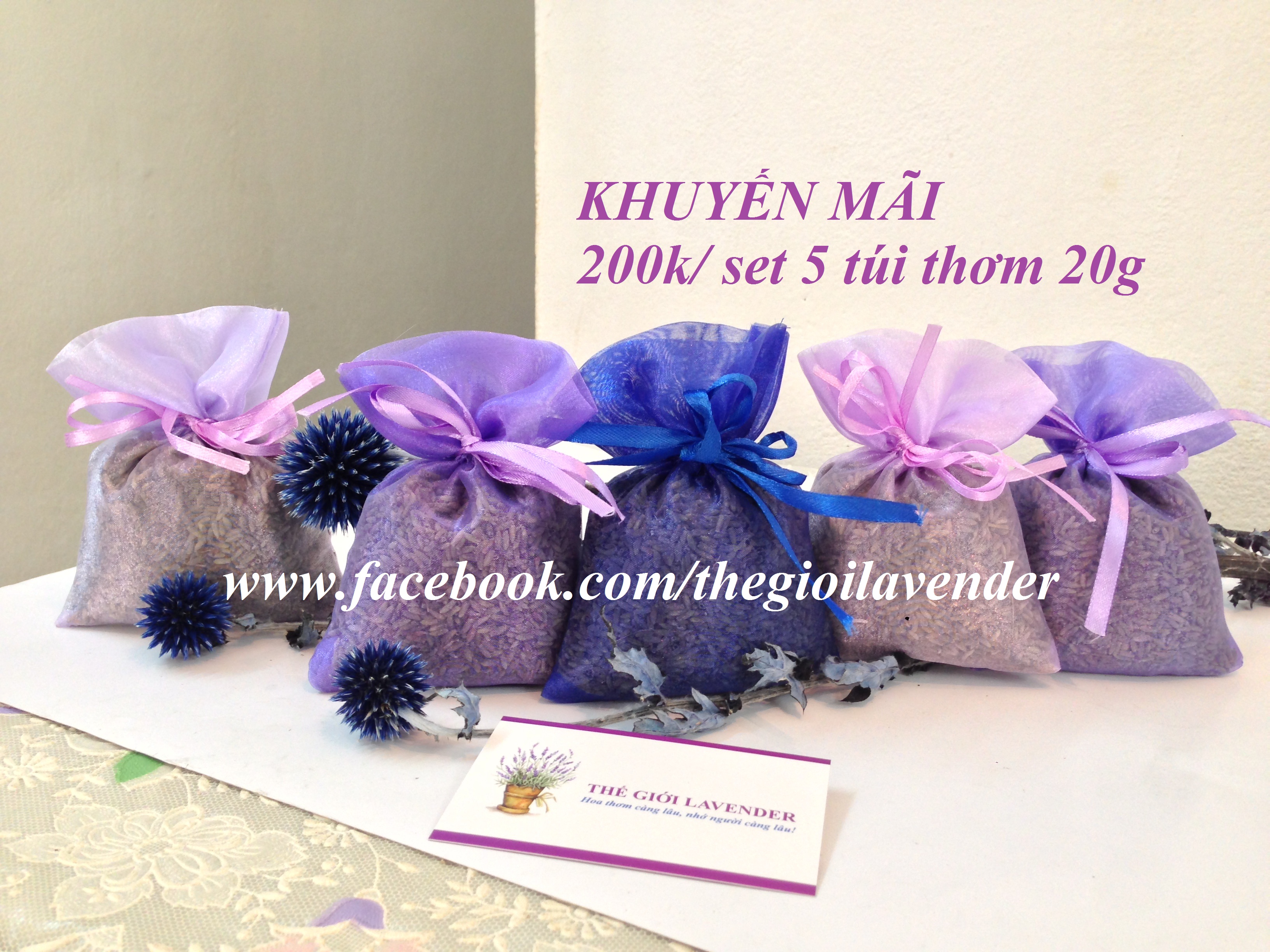 hoa khô lavender
