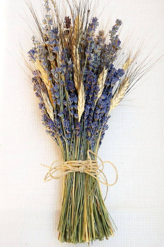 Hoa khô lavender