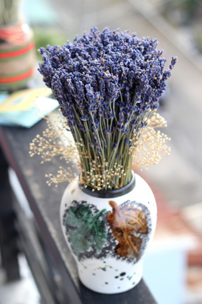 Thế giới Lavender