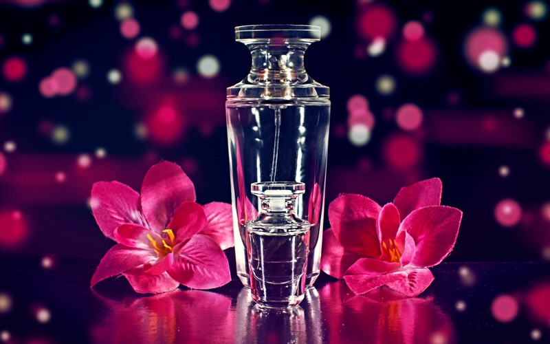 Thế giới Lavender