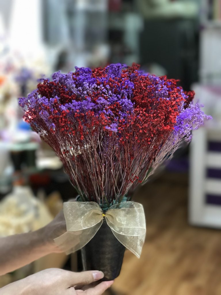 hoa broom bloom