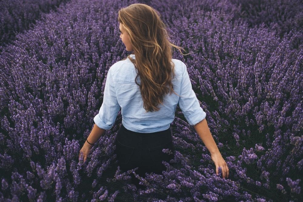 Thế giới Lavender