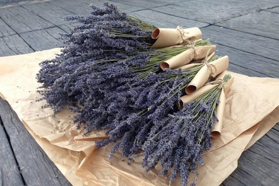 hoa Lavender khô