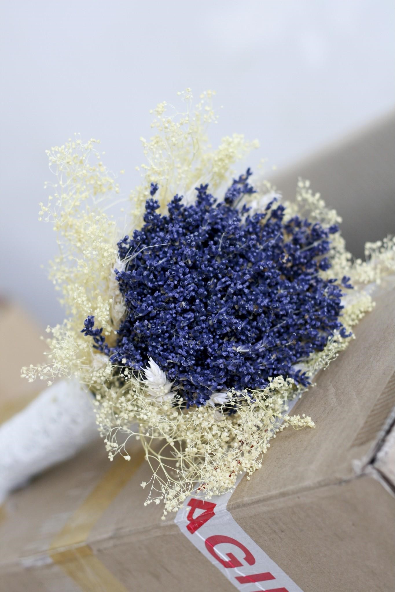 hoa Lavender khô