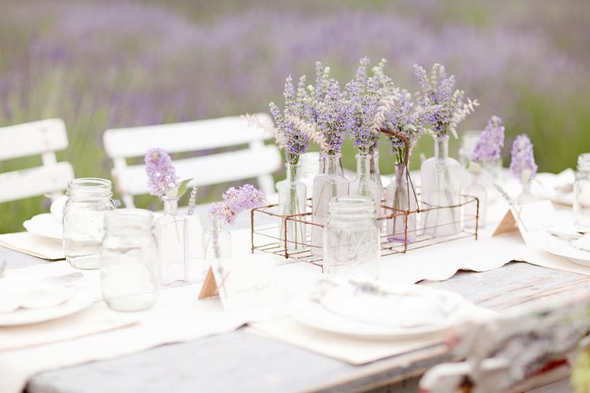 hoa lavender khô