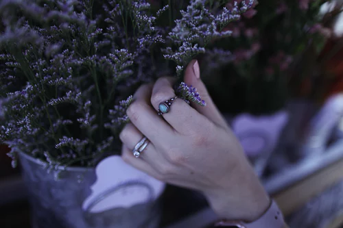 tinh dầu lavender