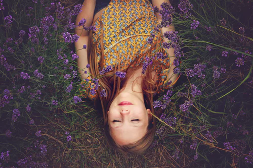 Thế giới Lavender