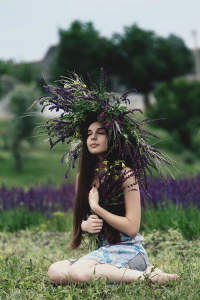 hoa Lavender khô
