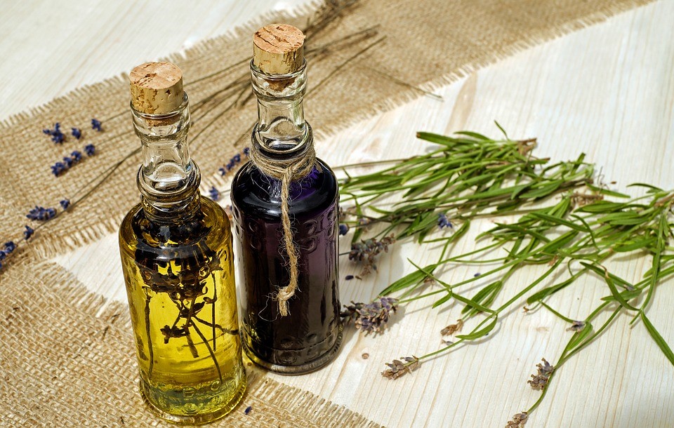 Thế giới Lavender