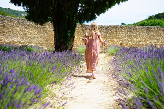 Thế giới Lavender