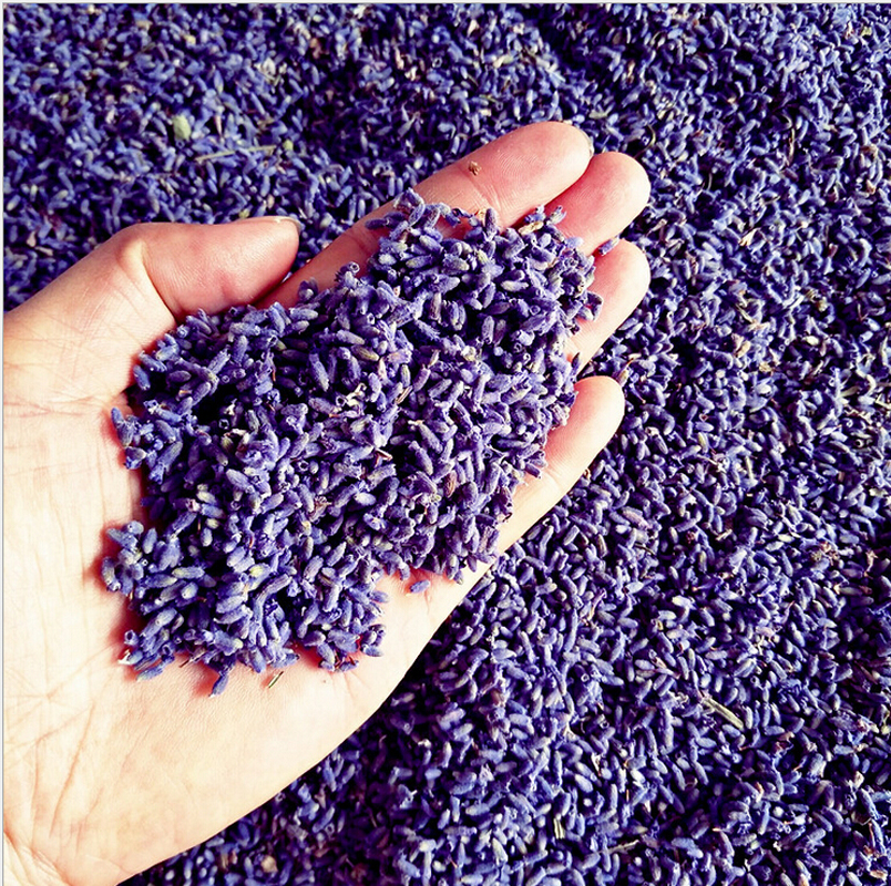 Thế giới Lavender