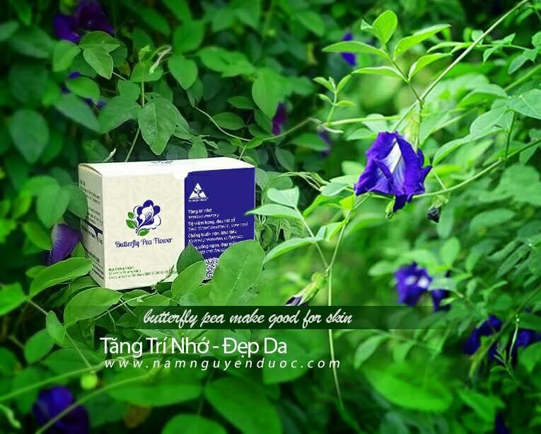 Thế giới Lavender