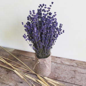 Thế giới Lavender