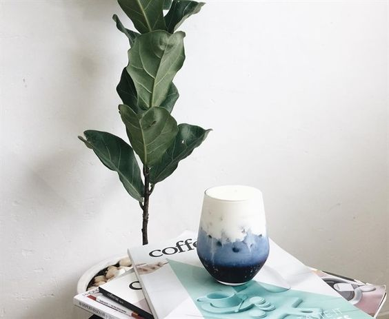 Thế giới Lavender