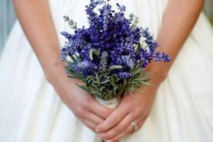 Thế giới Lavender