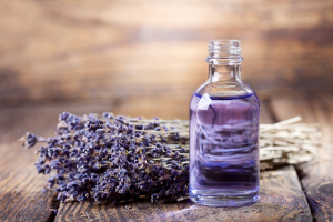 Thế giới Lavender