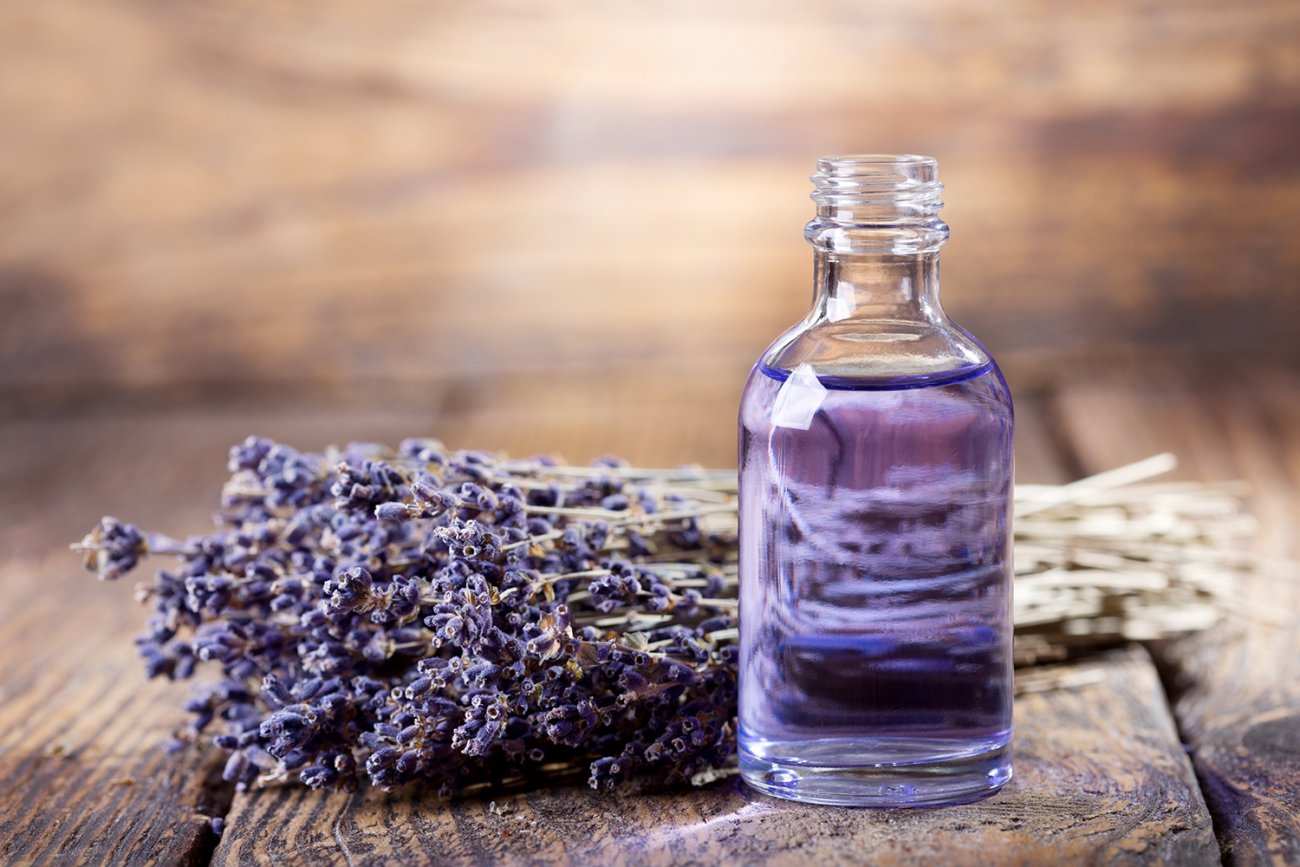 Thế giới Lavender