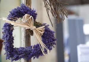 Thế giới Lavender