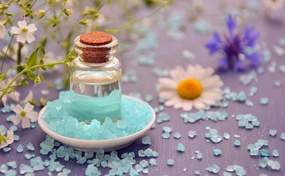 Thế giới lavender
