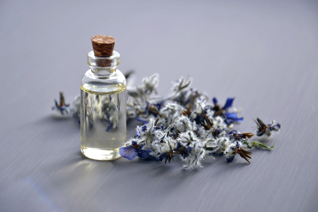 Thế giới Lavender