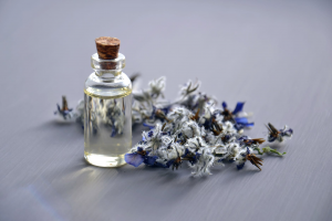 Thế giới Lavender
