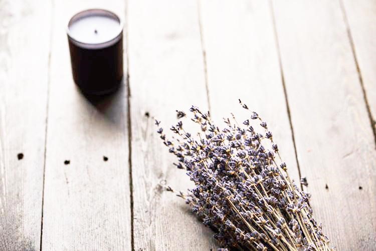 hoa lavender khô