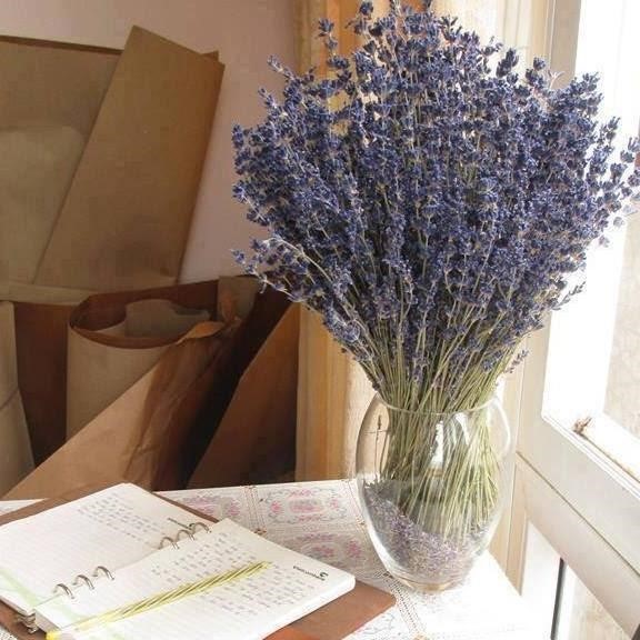 hoa lavender khô