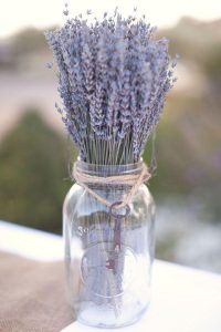 hoa lavender khô