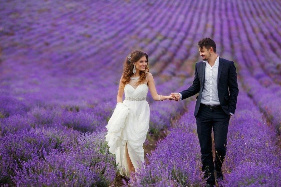 hoa lavender khô