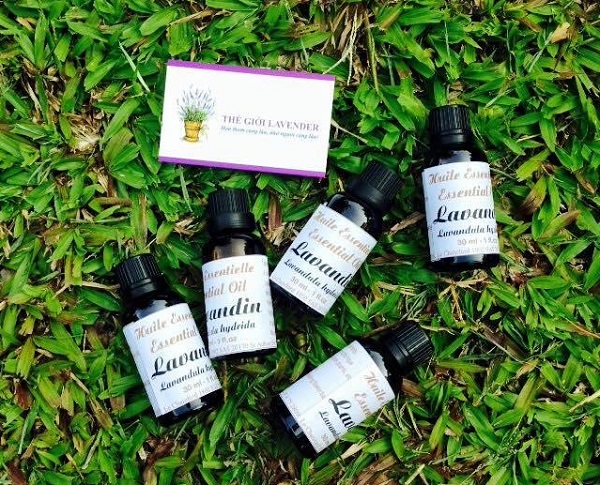 hoa lavender khô