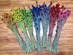 hoa trưng tết