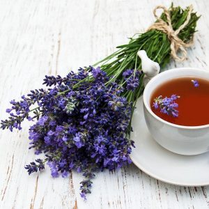 hoa lavender khô