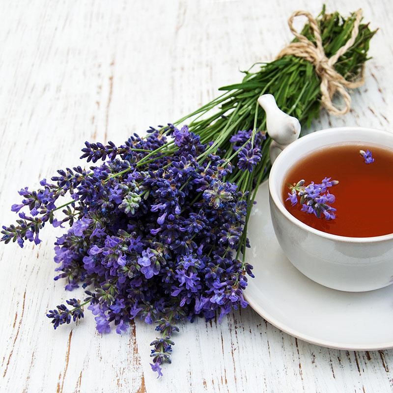 hoa lavender khô