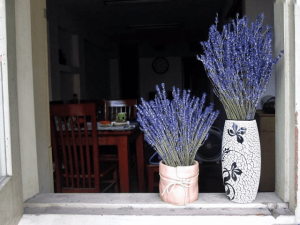 hoa khô Lavender