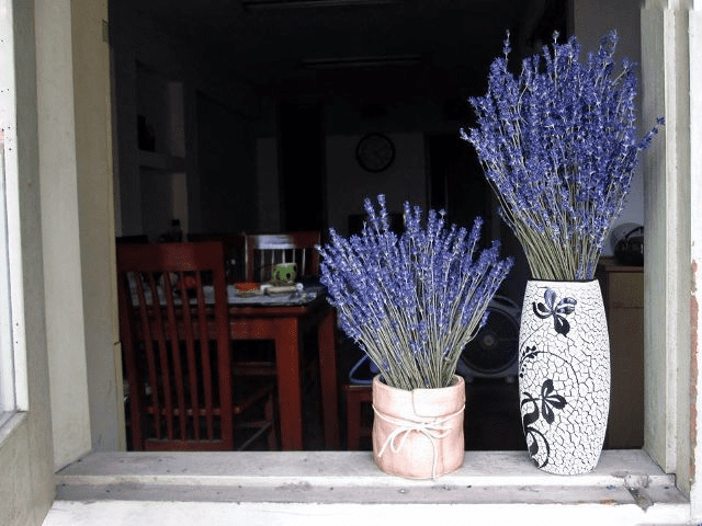 hoa khô Lavender