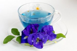 trà hoa đậu biếc