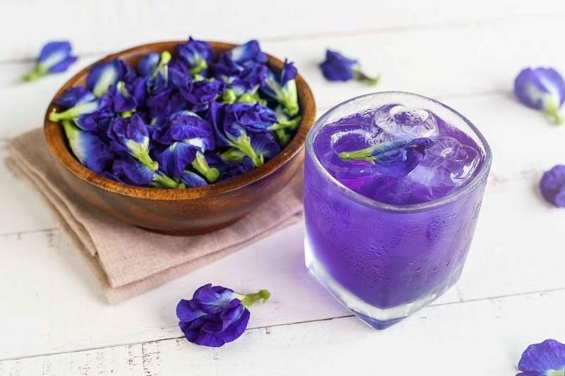 trà hoa đậu biếc