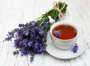 trà Lavender