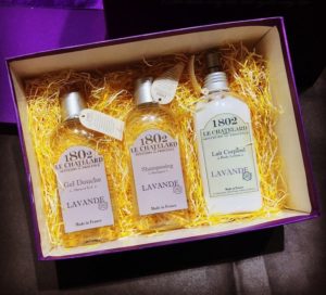 Thế Giới Hoa Khô Lavender