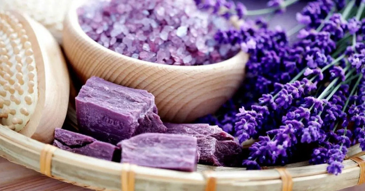 Sữa tắm Lavender Pháp